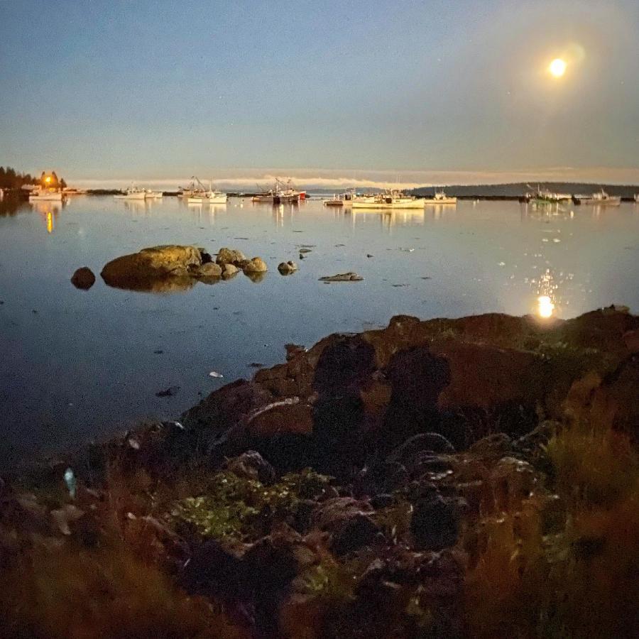 Harbor House Hotel By Umaniii In Jonesport Maine エクステリア 写真